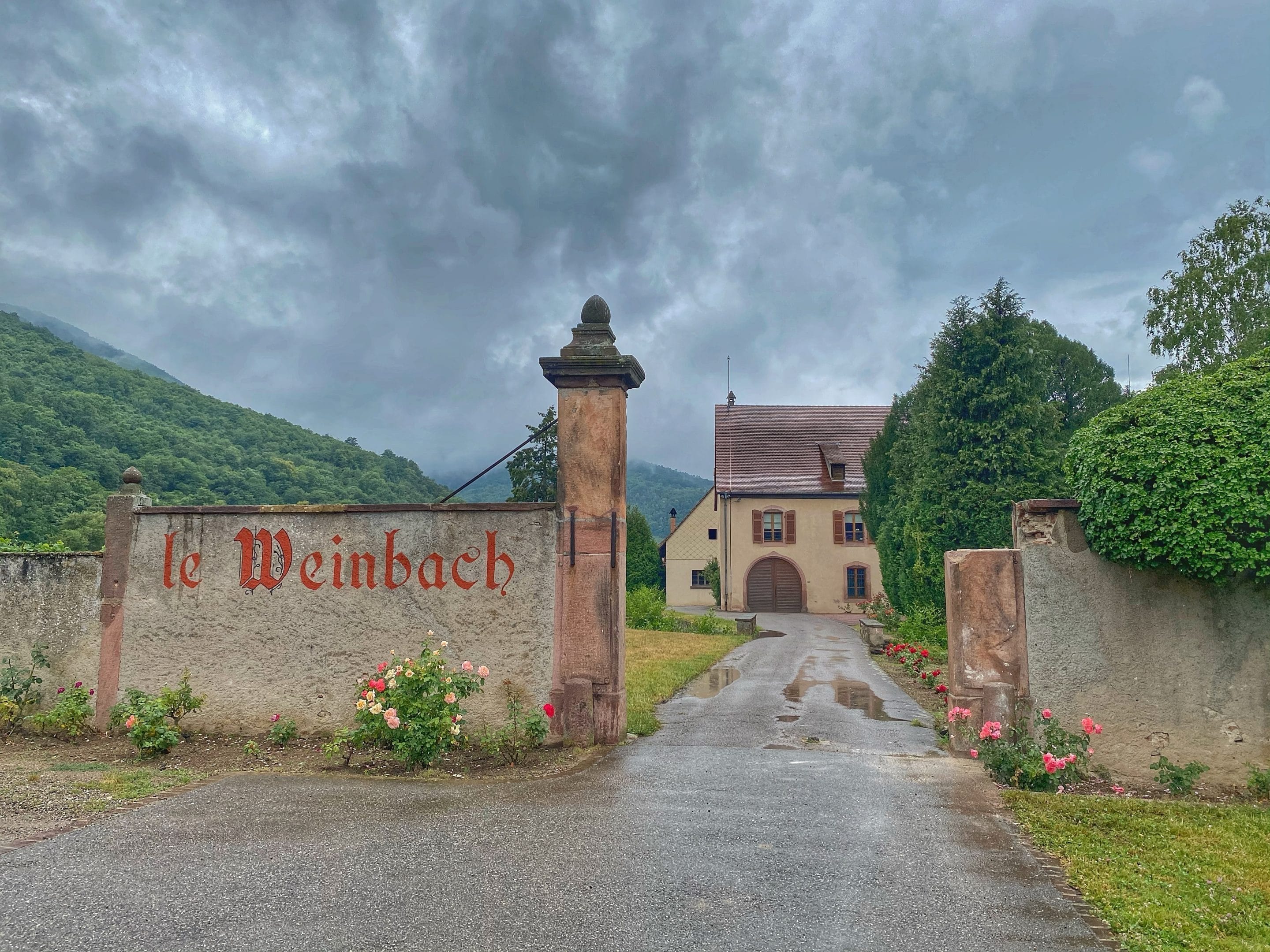 L’art de sublimer le vin avec le Domaine Weinbach !