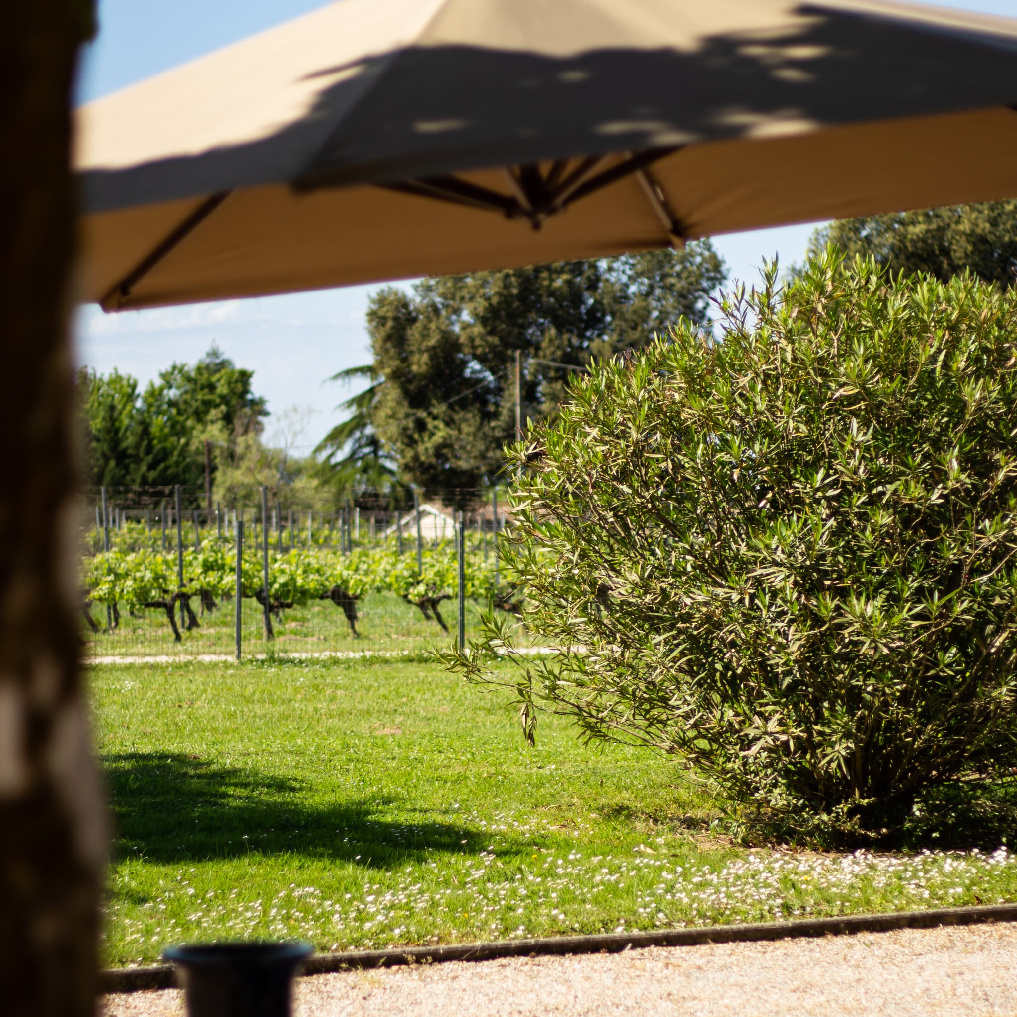 château turcaud domaine château turcaud domaine