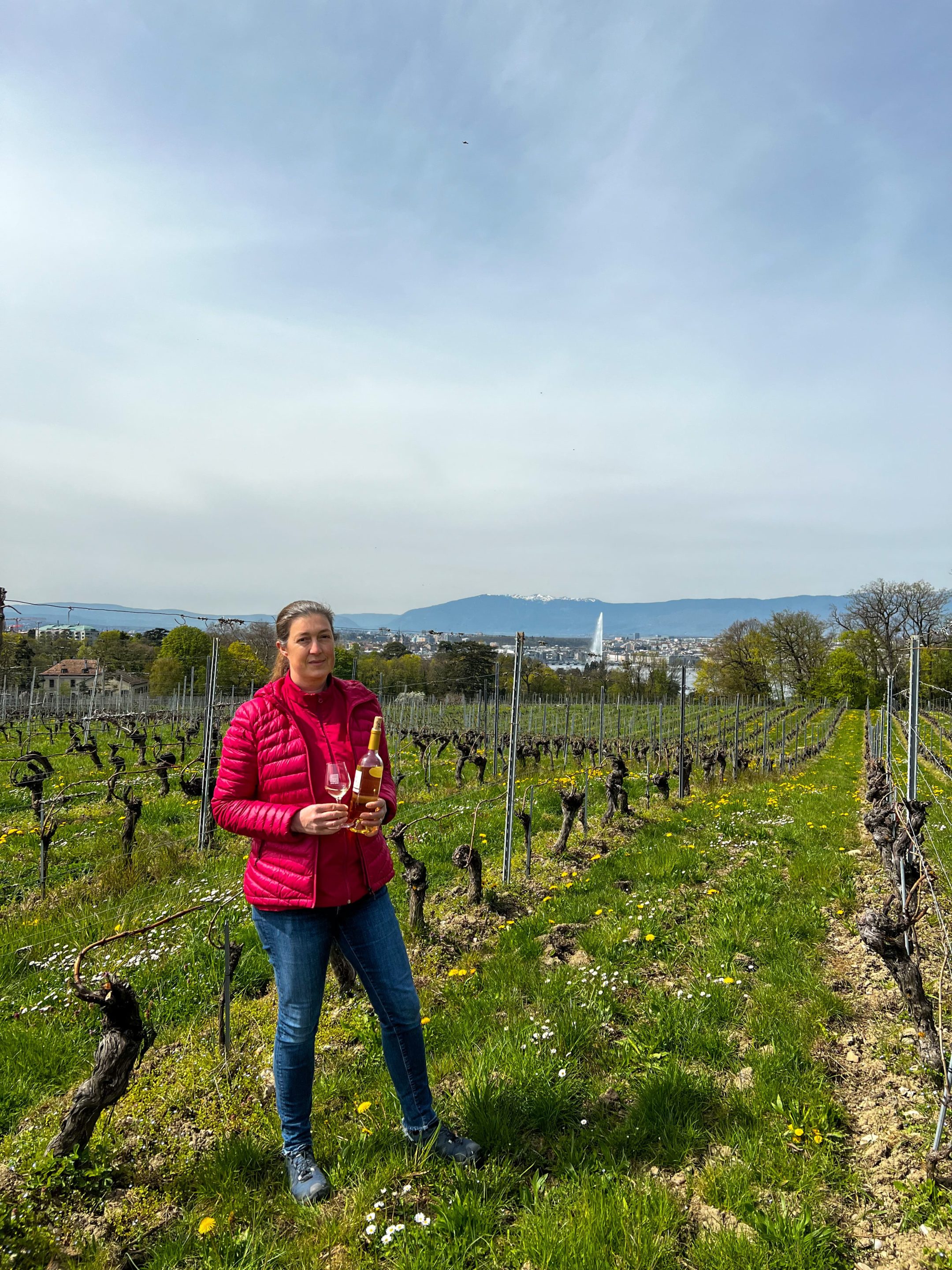 sarah meylan domaine de la vigne blanche sarah meylan domaine de la vigne blanche