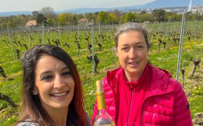 Domaine de la Vigne Blanche, la magie du bon vin de Cologny à Genève