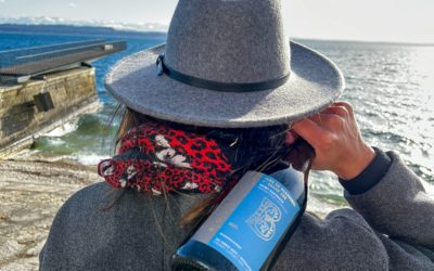 Le Domaine Bovy : une des plus belles terrasses de Lavaux