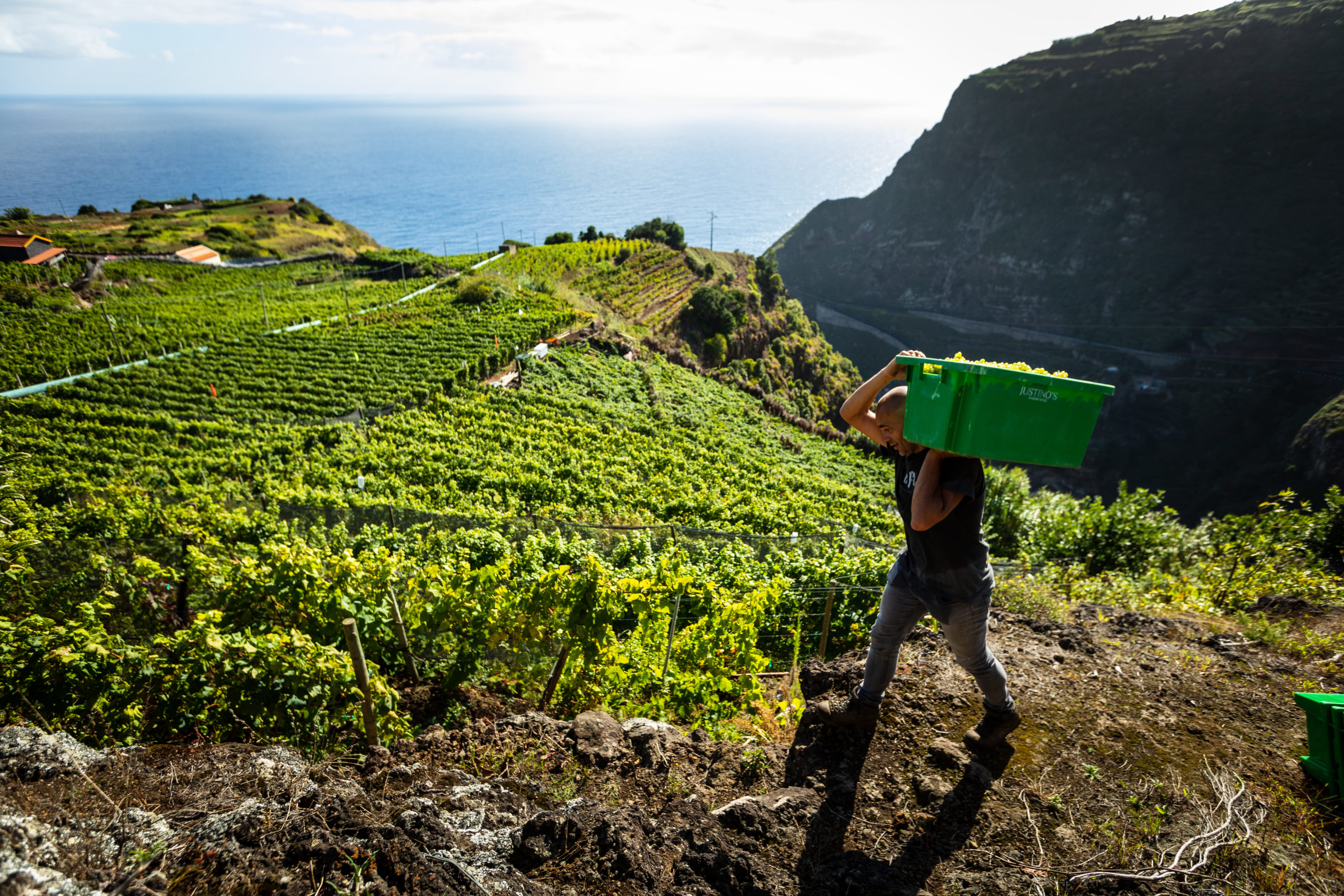 Les vins de Madère, une expérience à part entière - Melimelowine