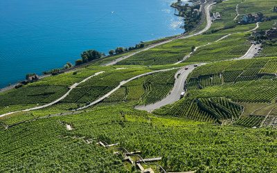 Le surprenant Dézaley Grand Cru de Lavaux avec le domaine des Frères Dubois à Cully